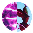 BALI BOUND + ELECTRIC