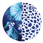 FERNGULLY + HERE KITTY KITTY