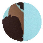 BLUE MOO / BAEBAE BLUE