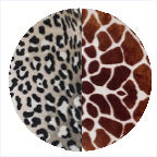 MAJESTIC CREATURE / ROYAL KITTY