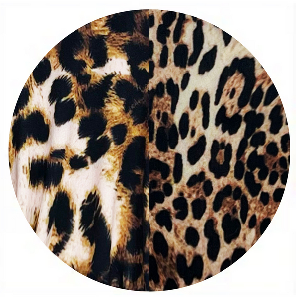 WILD KITTY / JUNGLE KITTY