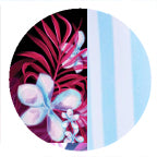 BACK TO WONDERLAND + SKY STRIPES