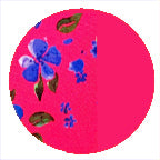 CERISE FLEUR / SHOCKING CORAL