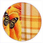 GOLDEN CHILD / FAR OUT BABY