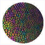 HOLOGRAPHIC RAINBOW OBSIDIAN