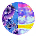 POPPIN POPPY / SOLAR SUNSET