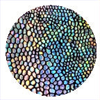 HOLOGRAPHIC QUARTZ CRYSTAL